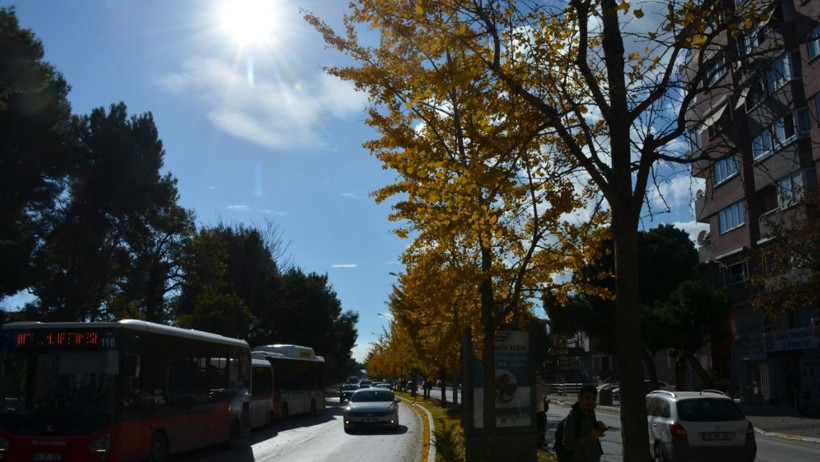 Güz'ün Son Günleri: Doğanın Sessiz Çığlığı