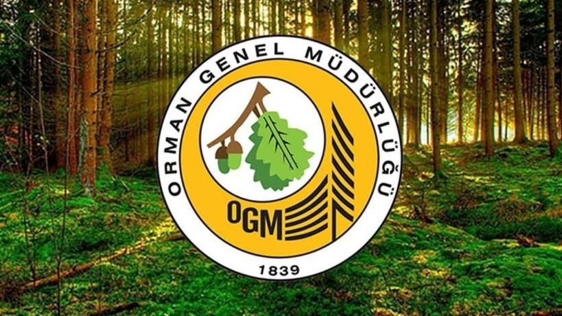 496 OGM Personel Alımı 2025 Başvuruları Başladı