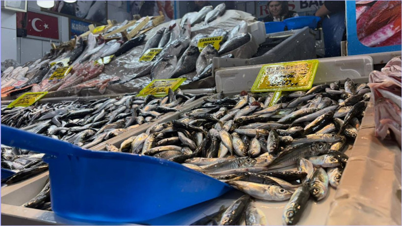 Mosko Ahtapot Balıkesir’de balık tezgahlarında