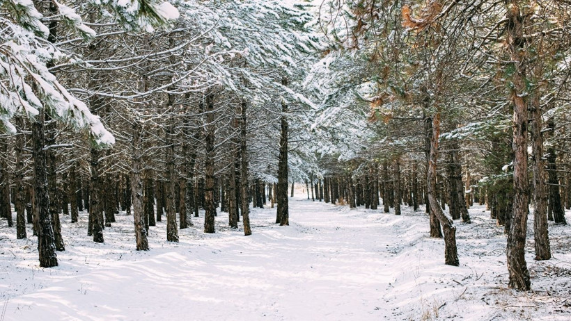 Balıkesir’in Kar Tutan Noktaları