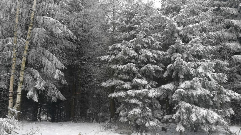 Balıkesir’in Kar Tutan Noktaları