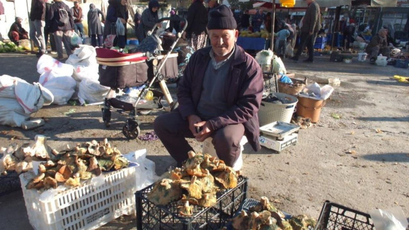 Yağışlar Bereket Getirdi: Fiyat Düştü, Halk Mantara Doydu