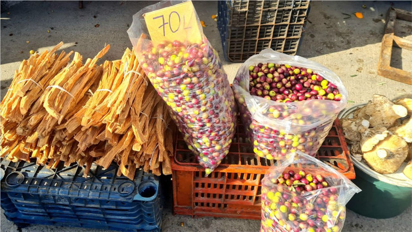 Balıkesir Edremit’te Zeytinin Fiyatı Yarıya İndi: Aralık Ayında Vatandaşa Şok Fiyat!