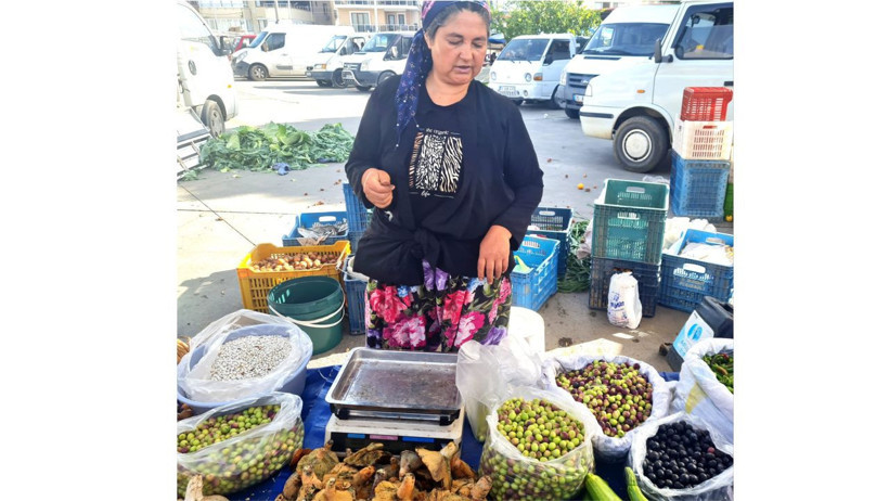 Balıkesir Edremit’te Zeytinin Fiyatı Yarıya İndi: Aralık Ayında Vatandaşa Şok Fiyat!