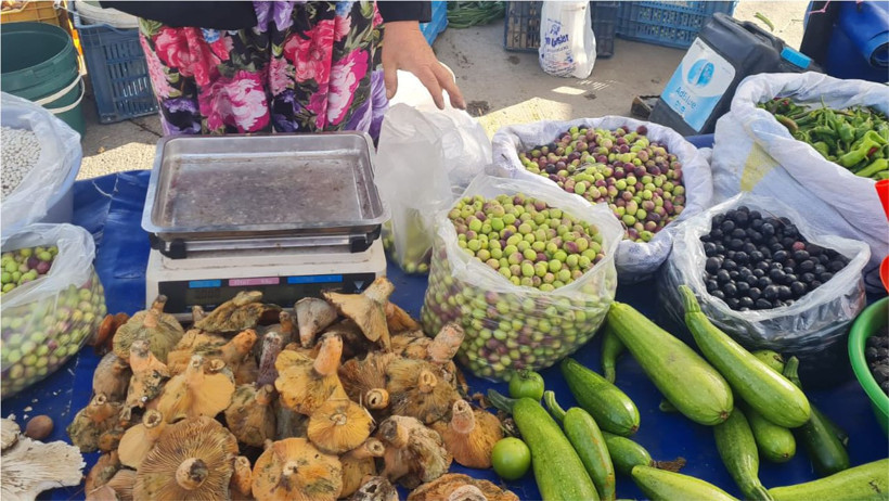 Balıkesir Edremit’te Zeytinin Fiyatı Yarıya İndi: Aralık Ayında Vatandaşa Şok Fiyat!