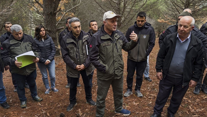 Balıkesir ve İzmir’de Fıstık Çamı Budama Tatbikatı