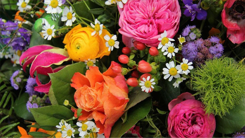 Balıkesir’de Çiçekçi Olmak