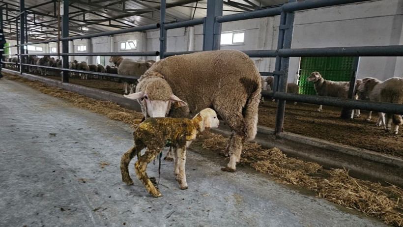 Kepsut Belediyesi’nden Mahallelere Kapsamlı Hizmet