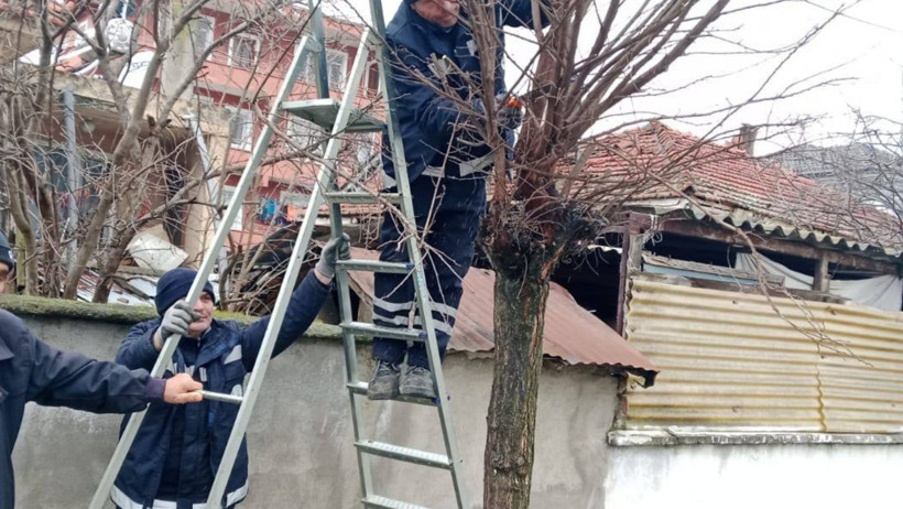 Kepsut’ta 1 Günde 28 Enjeksiyon, 85 Kişiye Yemek