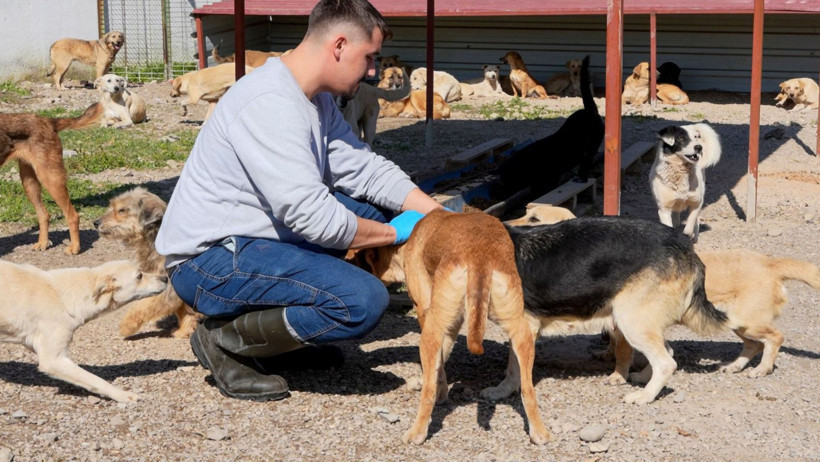 Burhaniye’de Can Dostlarına 1.500 Yuva