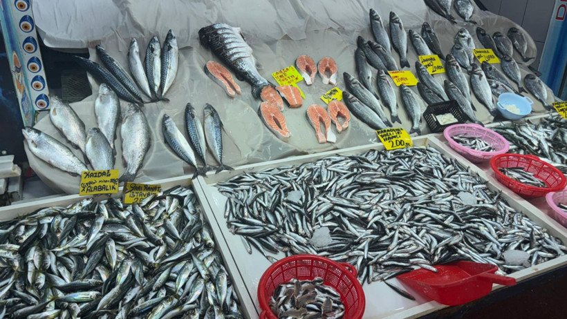 Balıkesir’de Hamsi 200 TL