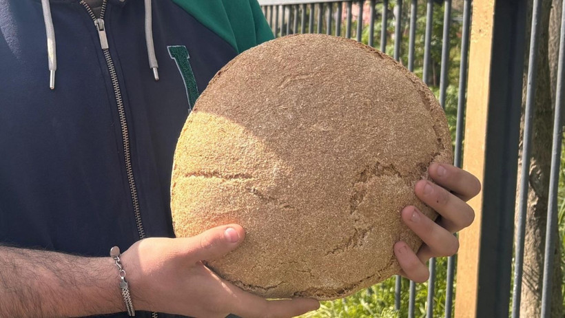 6 Buğdaylı Şifa Kaynağı