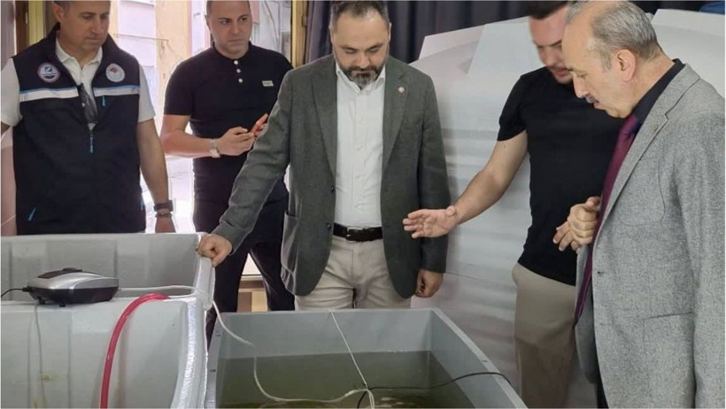 Balıkesir’de Deniz Patlıcanı Üretimi Başladı: İl Tarım ve Orman Müdürü Dr. Hüseyin Düzgün Duyurdu
