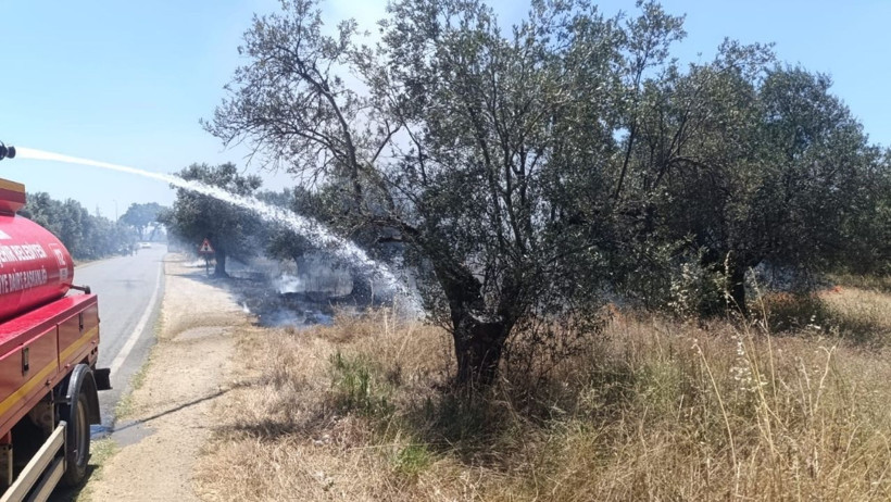 Havran’da Zeytinlik Yangını: Ağaçlar Zarar Gördü