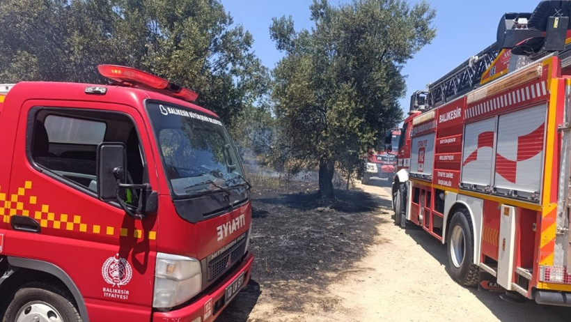 Havran’da Zeytinlik Yangını: Ağaçlar Zarar Gördü