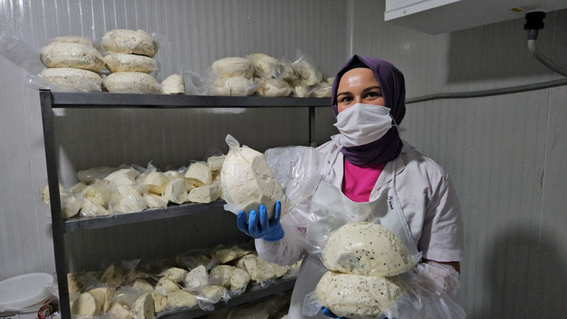 Balıkesir’in İlk Butik Mandırası: 50 Peynirli Şehre Katkı Sağlayacak - Resim: 2