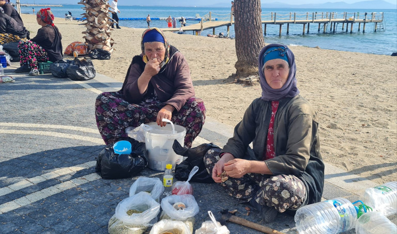 Bir Yanda Deniz Keyfi, Bir Yanda Emek Mücadelesi - 1. resim