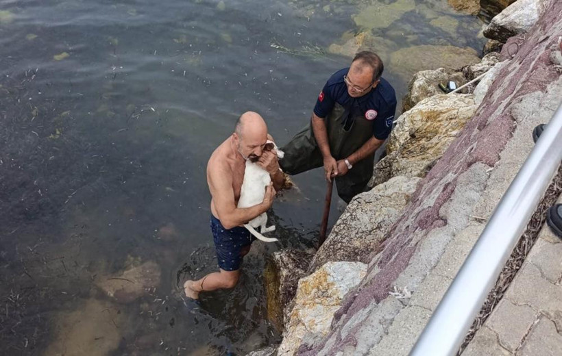 Burhaniye’de kayalıklar arasında sıkışan bir köpek için hem itfaiye ekipleri hem de vatandaşlar seferber oldu. Peki sahilde yaşanan bu kurtarma operasyonu nasıl sonuçlandı?