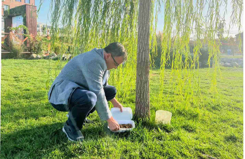 Altıeylül Belediyesi Hayvanbakımevi