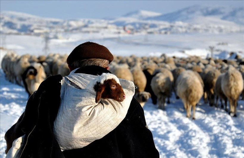 Balıkesir’de Ekim Ayı Etkinlikleri Başlıyor! - Resim: 1