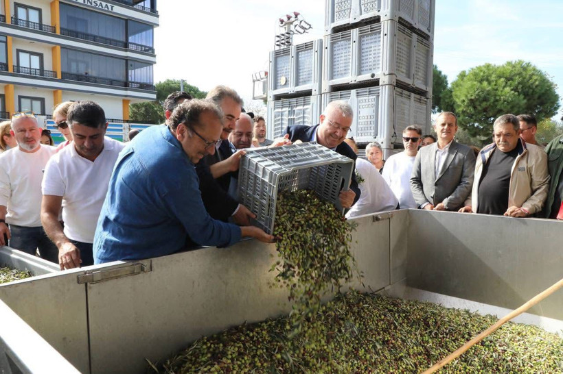 Zeytinin Kalbinde Hasat Coşkusu - 1. resim