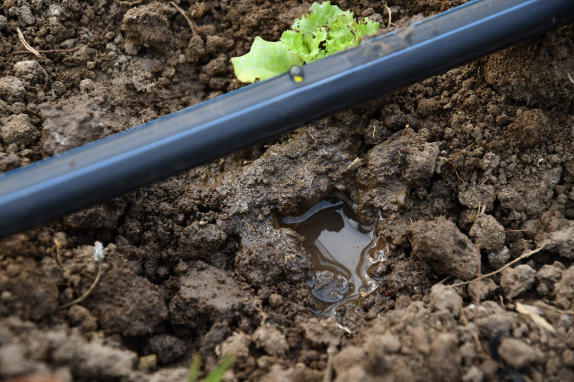 Tarımda Balıkesir Modeli Nedir? Büyükşehir Verileri Açıkladı