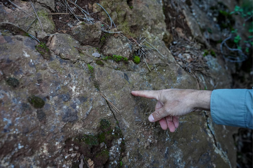 Prof. Dr. Sözbilir: Balıkesir’deki Ölü Fay Hatları Aktifleşti - Resim: 5