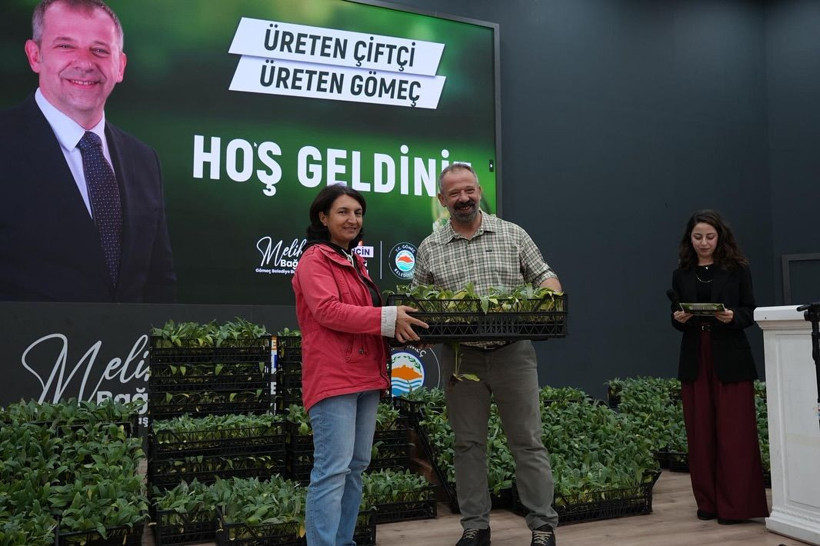 Gömeç’te 50 Bin Enginar Fidesi Dağıtıldı - Resim: 5