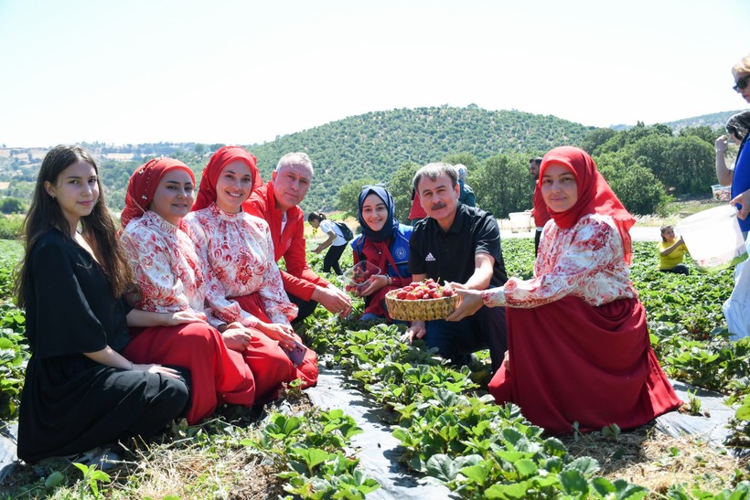 Çilek Bahçesinde Gençlik Rüzgarı