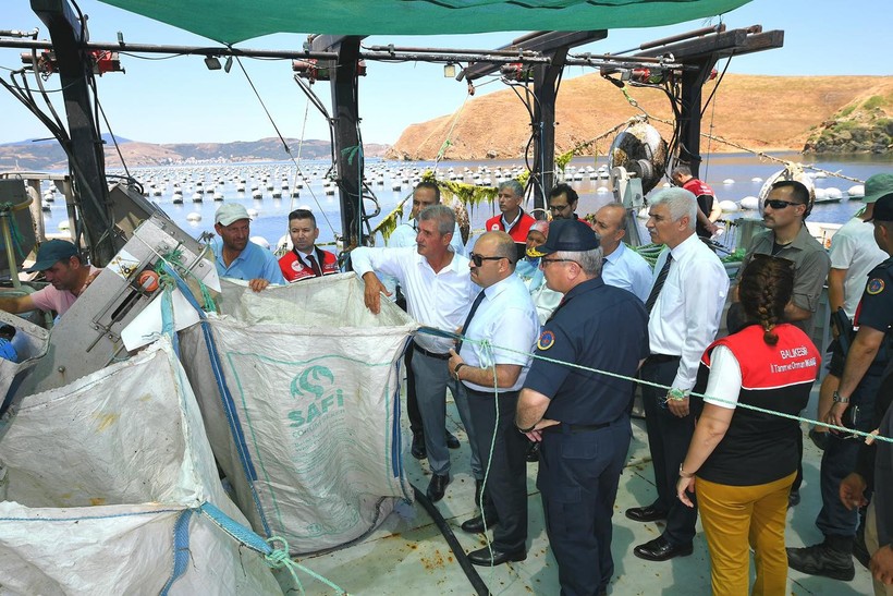  Balıkesir, Midye Üretiminde Türkiye’nin Zirvesinde 
