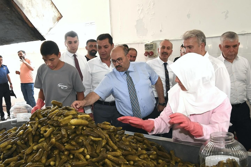 Sındırgı Kornişonunda Hasat Heyecanı! Vali Ustaoğlu Tarlaya İndi