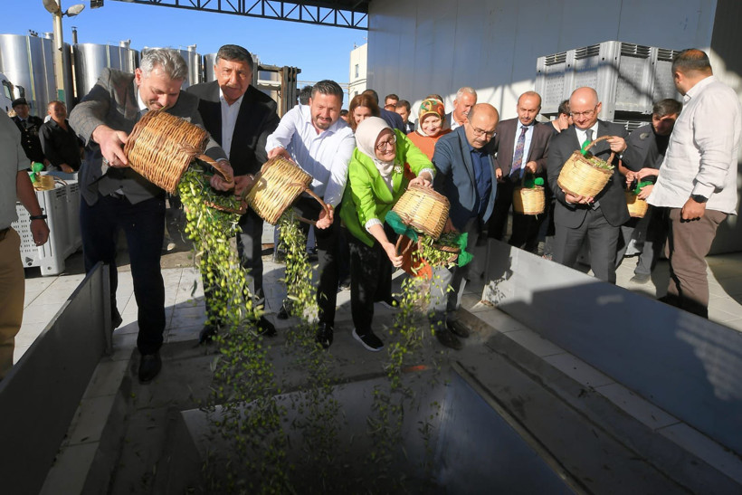 Balıkesir Ayvalık’ta Yılın İlk Zeytinyağı Sıkıldı