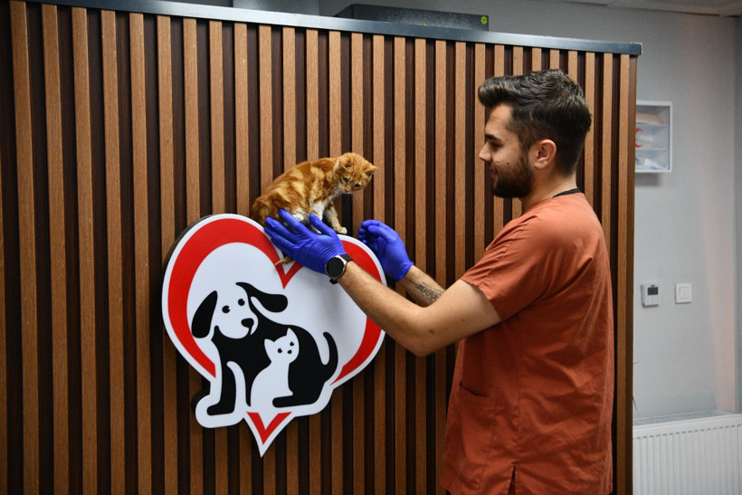 Balıkesir'de Hayvan Sahiplendirmek İsteyenler Dikkat!