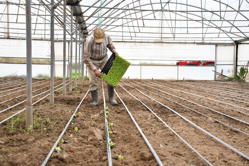 Tarımda Balıkesir Modeli Nedir? Büyükşehir Verileri Açıkladı