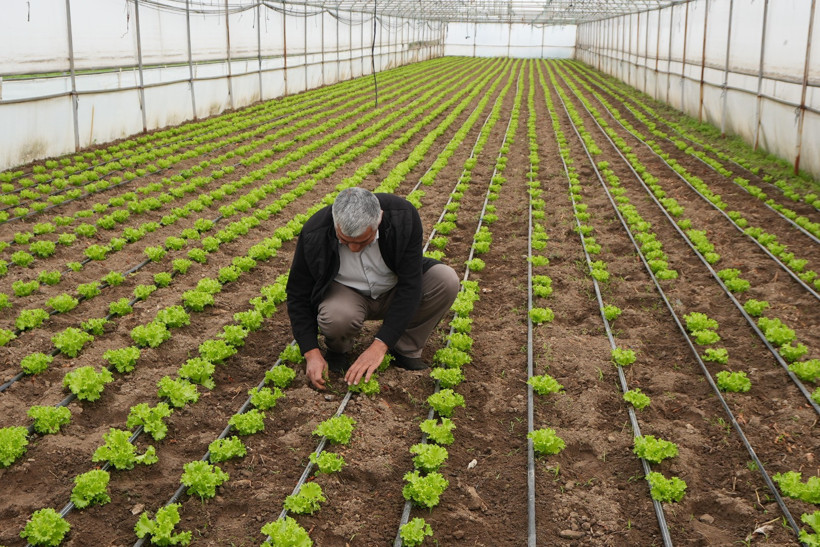 Tarımda Balıkesir Modeli Nedir? Büyükşehir Verileri Açıkladı - 1. resim