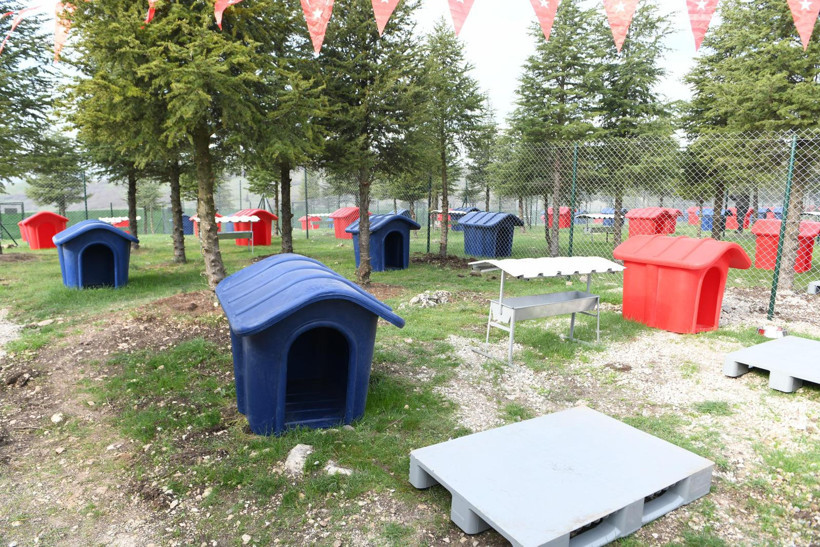 Altıeylül’den Can Dostlara Sıcak Yuva