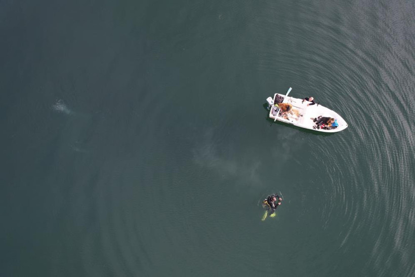 Sındırgı’daki Yeraltı Hareketliliği Sonrası Sapanca’da Benzer Endişe
