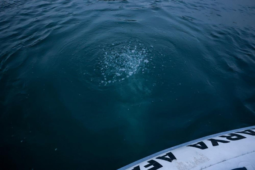 Sındırgı’daki Yeraltı Hareketliliği Sonrası Sapanca’da Benzer Endişe