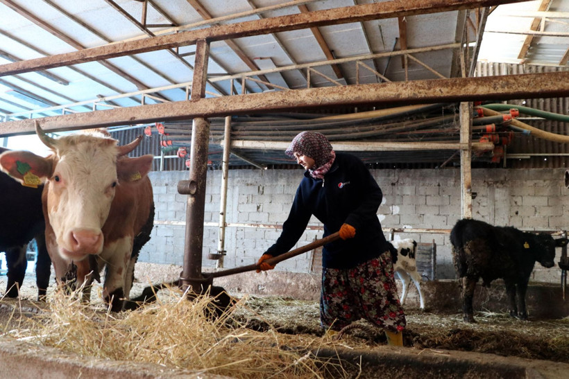 Balıkesir’de Aşı ve Küpeleme Desteği Başladı - Resim: 6