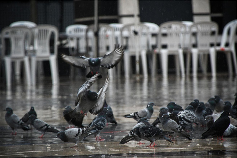 Sındırgı’da Depremden Sonra Sokaklardan 'Anlamlı' Kareler - Resim: 2