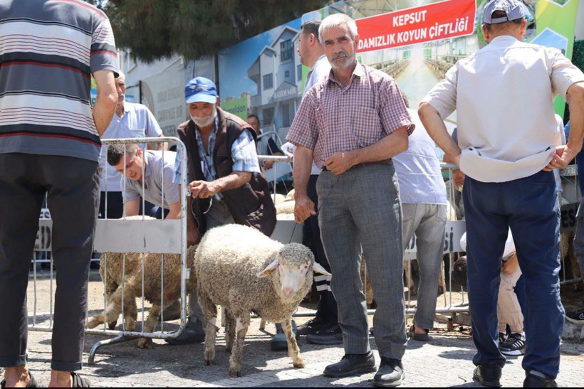 Kepsut Belediye Başkanı İsmail Cankul’dan 40 Üreticiye Ücretsiz Koç - Resim: 5