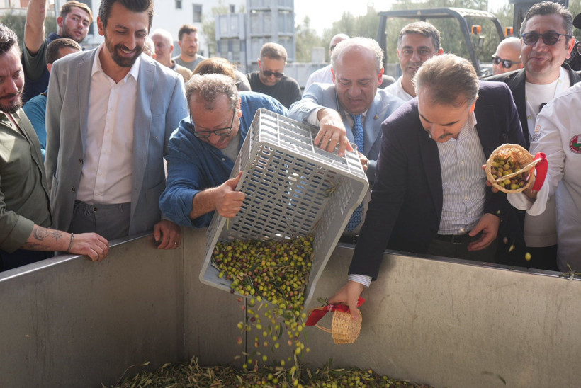 Zeytinin Kalbinde Hasat Coşkusu - 3. resim