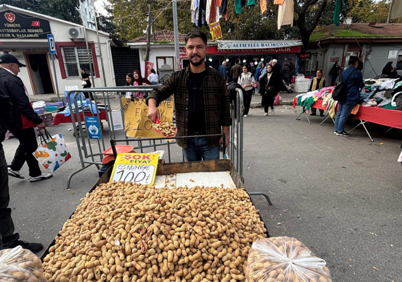 Balıkesir’de Fıstık Sezonu Başladı, Talep Artıyor