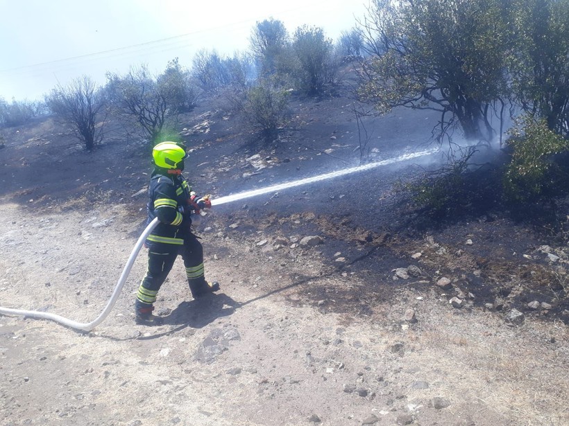 Savaştepe’de Orman Yangını: 10 Hektar Alan Zarar Gördü