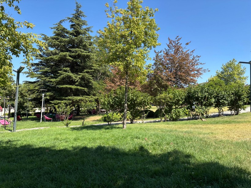 Atatürk Parkı Sessizliğe Büründü: Nedeni Sıcaklar mı?