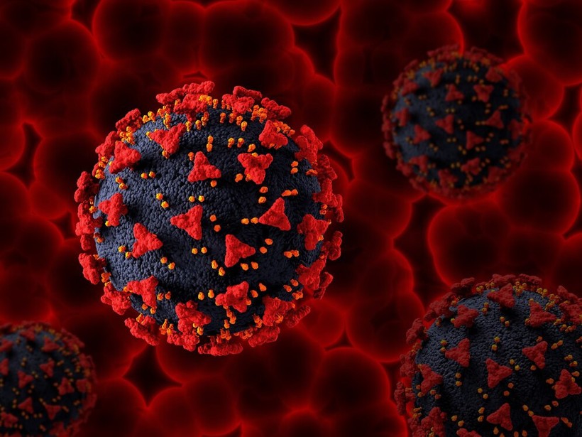 Hepatit B'de 1998'den önce doğanlar daha büyük risk altında"