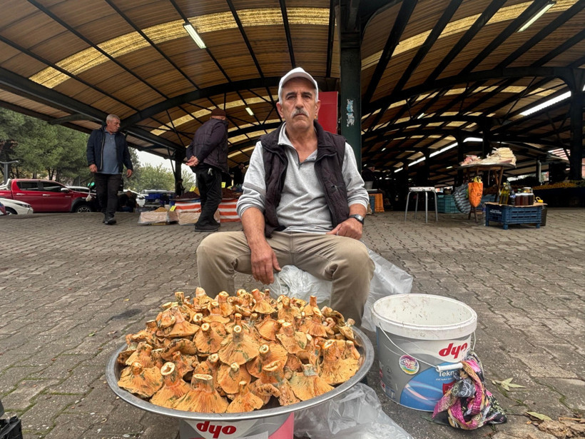 Dursunbey’den Doğanın Şifası: Melki Mantarı Altın Gibi Değerleniyor - 1. resim