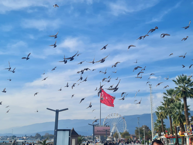Akçay’da Kuşların Dansı Büyüledi - 2. resim