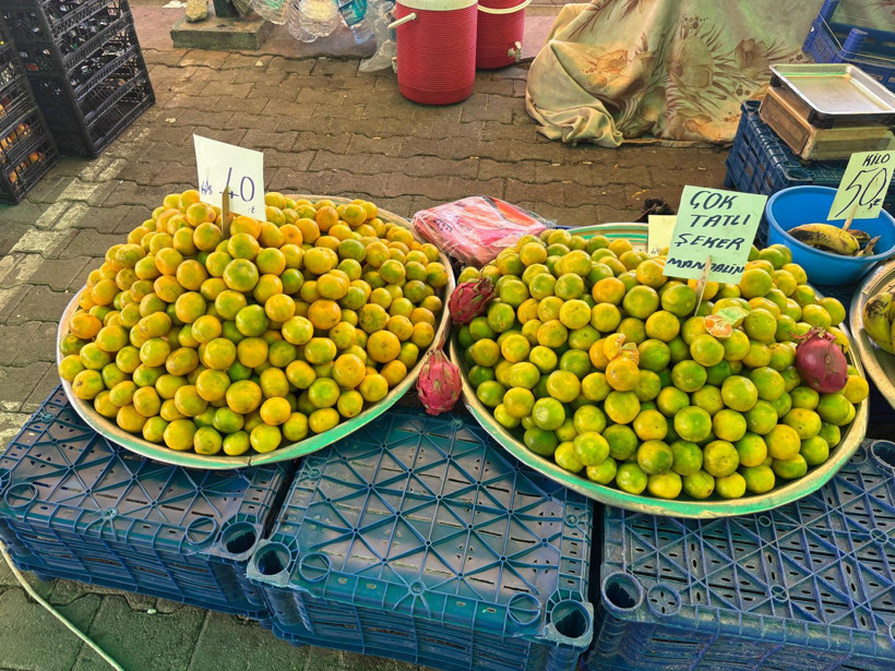 Zeliha Özay 22 Yıldır Pazardayım, Bereket Kalmadı