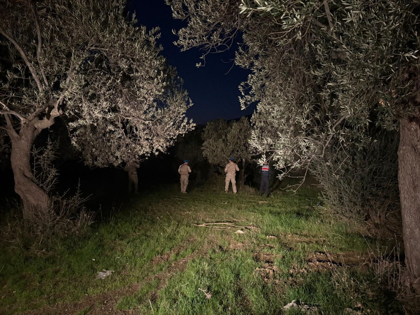 Edremit'te zeytin hırsızlığına karşı komandolar sahada - 1. resim